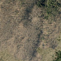 Satellite imagery of Thompson Mountain, CA