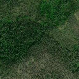 Satellite imagery of Mongrel Ridge, US