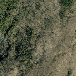 Satellite imagery of Dans Mountain, CA