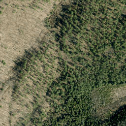 Satellite imagery of Black Mountain, CA