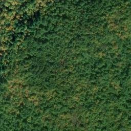 Satellite imagery of Murrays Hill, CA