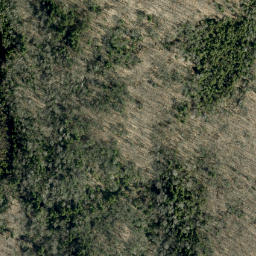 Satellite imagery of Dans Mountain, CA