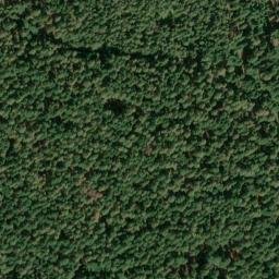 Satellite imagery of Bear Spring Ranger Station (historical), US