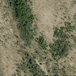Satellite imagery of Carswells Mountain, CA