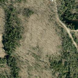 Satellite imagery of Carswells Mountain, CA