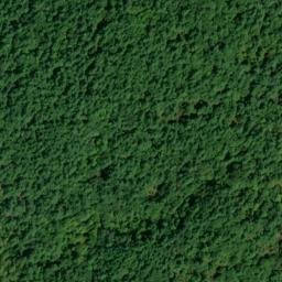 Satellite imagery of Snake Lake Mountain, CA