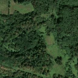 Satellite imagery of Pužnjevac, BA