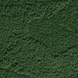 Satellite imagery of Alligator Quarry, US