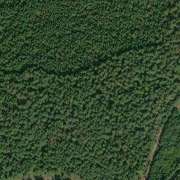 Satellite imagery of Alligator Quarry, US