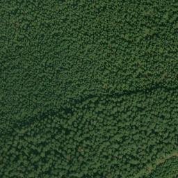 Satellite imagery of Alligator Quarry, US
