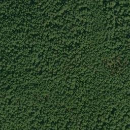 Satellite imagery of Alligator Quarry, US