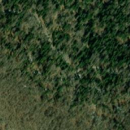 Satellite imagery of Miškovo Bilo, HR