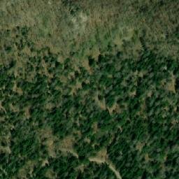 Satellite imagery of Miškovo Bilo, HR