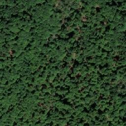 Satellite imagery of Lička Kosa, BA