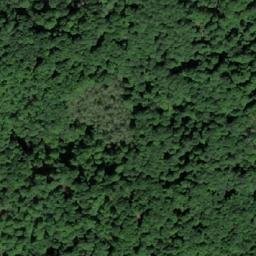 Satellite imagery of Rastova Kosa, BA