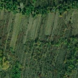 Satellite imagery of Dealul Bădani, RO