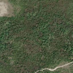 Satellite imagery of Pine Tree Point, CA