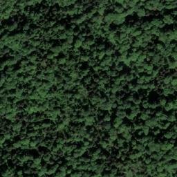 Satellite imagery of Rastova Kosa, BA