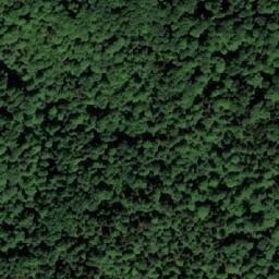 Satellite imagery of Jogunova Kosa, BA