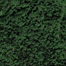 Satellite imagery of Jogunova Kosa, BA