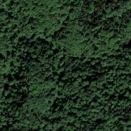 Satellite imagery of Jogunova Kosa, BA