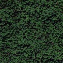 Satellite imagery of Jogunova Kosa, BA