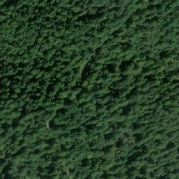 Satellite imagery of Steljac, BA