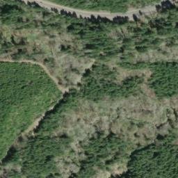 Satellite imagery of Thomas Hill, US