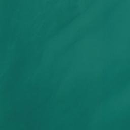 Satellite imagery of Dimmicks Point, US