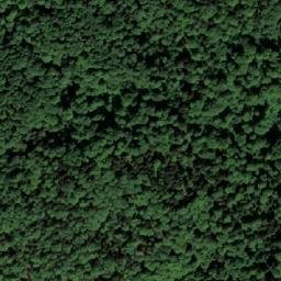 Satellite imagery of Bunik, BA