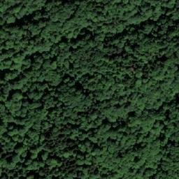 Satellite imagery of Bunik, BA