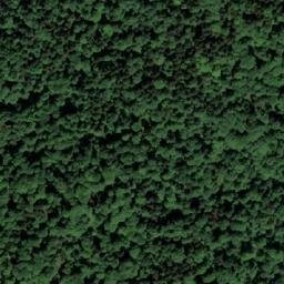 Satellite imagery of Bunik, BA