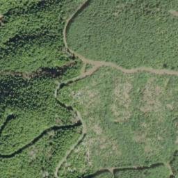 Satellite imagery of Neskowin Ridge, US