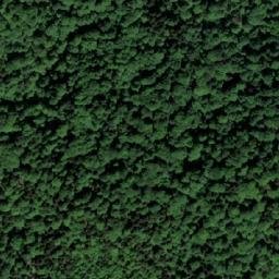 Satellite imagery of Bunik, BA