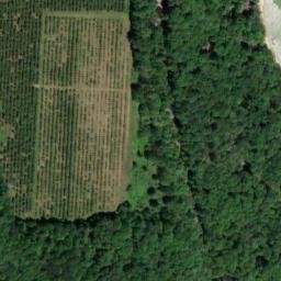 Satellite imagery of Omena Point, US