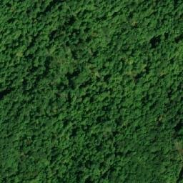 Satellite imagery of Lavant Mountain, CA