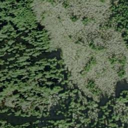 Satellite imagery of Green Point, US