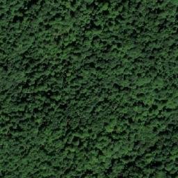 Satellite imagery of Mali Lom, BA