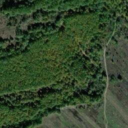 Satellite imagery of Dealul Hertului, RO