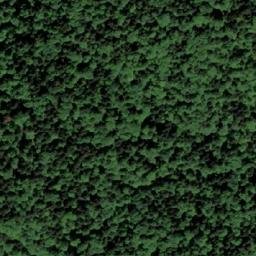 Satellite imagery of Ravna Gora, BA