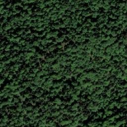 Satellite imagery of Vučjak, BA