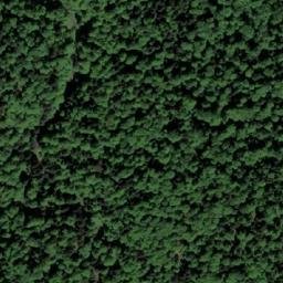 Satellite imagery of Vučjak, BA