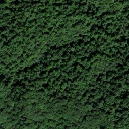 Satellite imagery of Mali Lom, BA