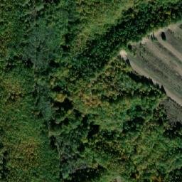 Satellite imagery of Dealul Hertului, RO