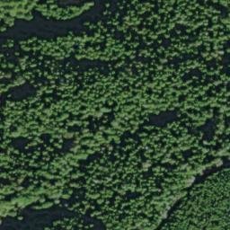 Satellite imagery of Green Point, US