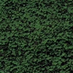 Satellite imagery of Ravna Gora, BA