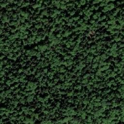 Satellite imagery of Vučjak, BA