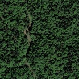 Satellite imagery of Vučjak, BA