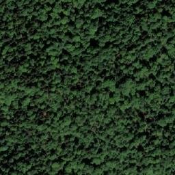 Satellite imagery of Opaljena Kosa, BA