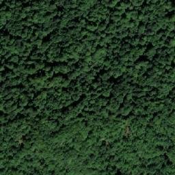 Satellite imagery of Mali Lom, BA